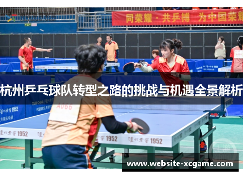 杭州乒乓球队转型之路的挑战与机遇全景解析