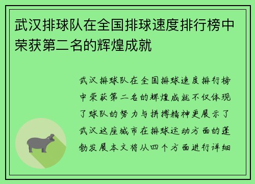 武汉排球队在全国排球速度排行榜中荣获第二名的辉煌成就